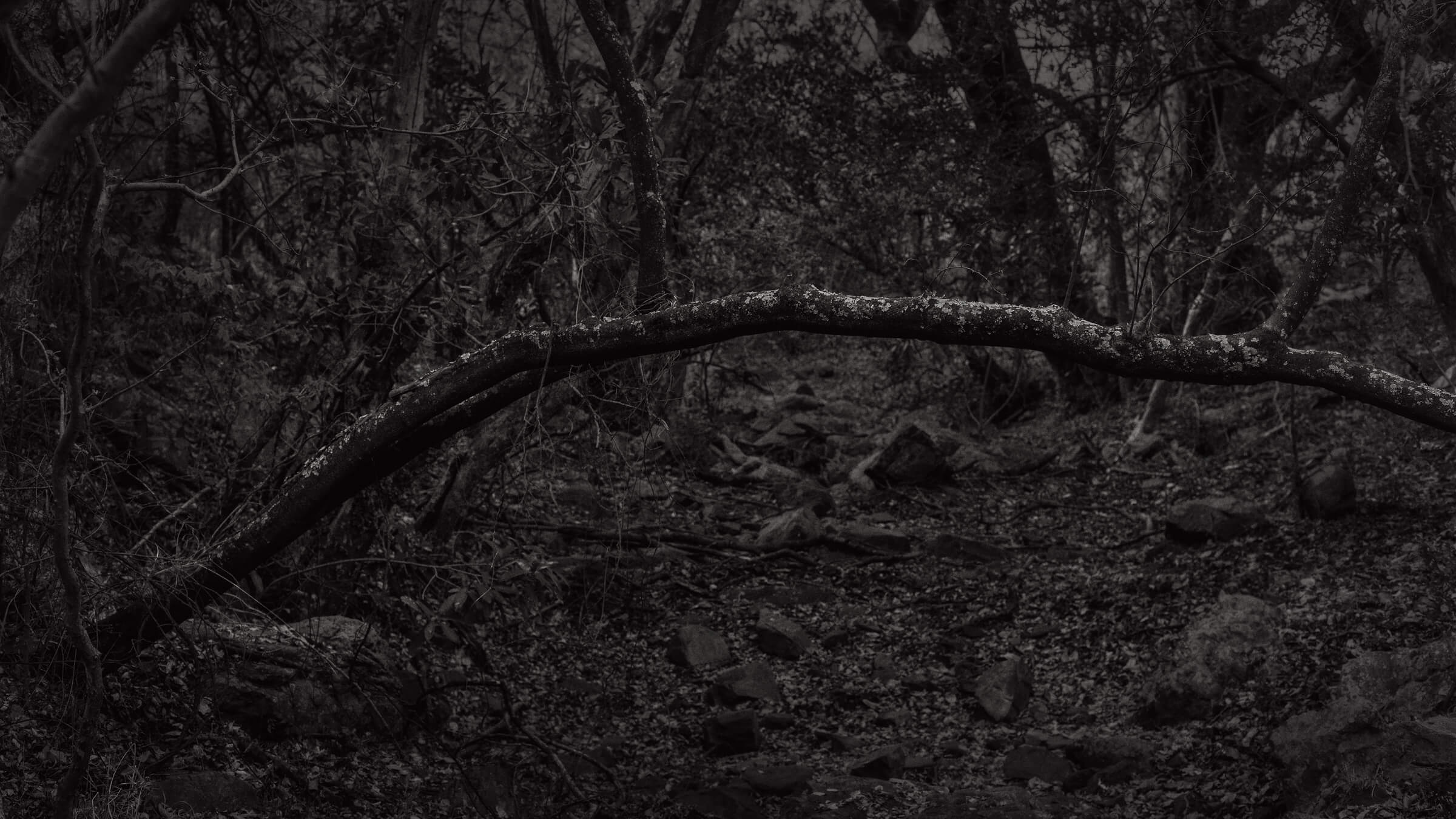 Among Others — Ben Viljoen, 2025